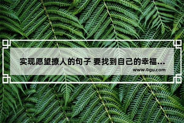 实现愿望撩人的句子 要找到自己的幸福说说句子