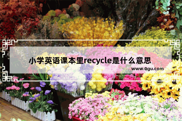 小学英语课本里recycle是什么意思 不同人生阶段的句子英文