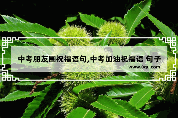 中考朋友圈祝福语句,中考加油祝福语 句子大全