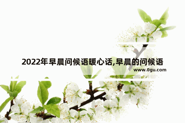 2022年早晨问候语暖心话,早晨的问候语暖心句子图片