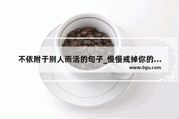 不依附于别人而活的句子_慢慢戒掉你的说说