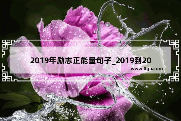 2019年励志正能量句子_2019到2021正能量事迹