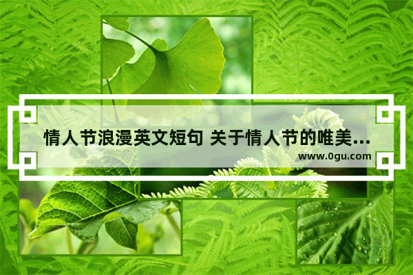 情人节浪漫英文短句 关于情人节的唯美句子英文