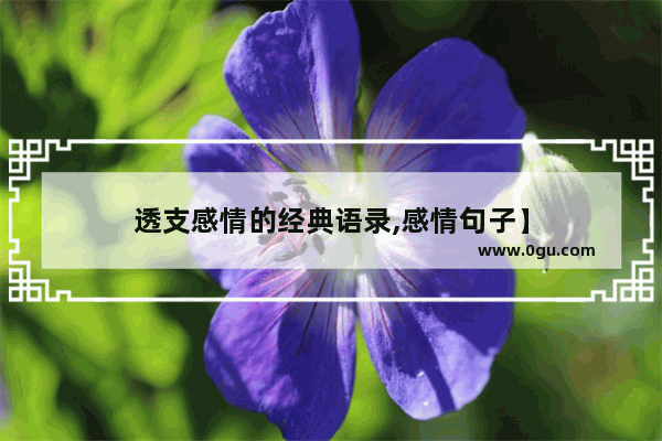 透支感情的经典语录,感情句子】