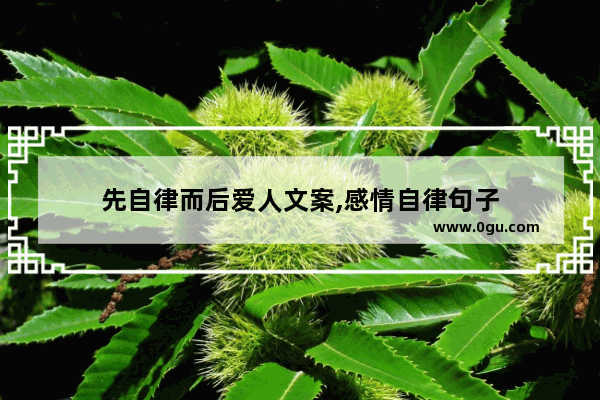 先自律而后爱人文案,感情自律句子