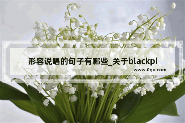 形容说唱的句子有哪些_关于blackpink的个性签名60字