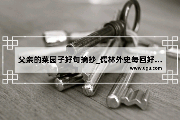 父亲的菜园子好句摘抄_儒林外史每回好句赏析