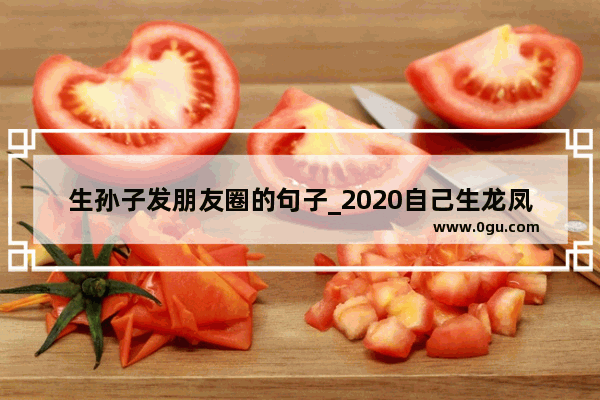 生孙子发朋友圈的句子_2020自己生龙凤胎发朋友圈的句子