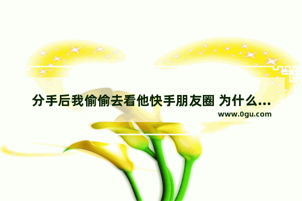 分手后我偷偷去看他快手朋友圈 为什么总看到半夜在喝酒呢 还多伤感的歌,夜里发的伤感朋友圈的句子