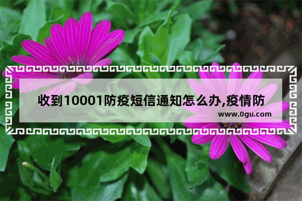 收到10001防疫短信通知怎么办,疫情防控的暖心词语和句子