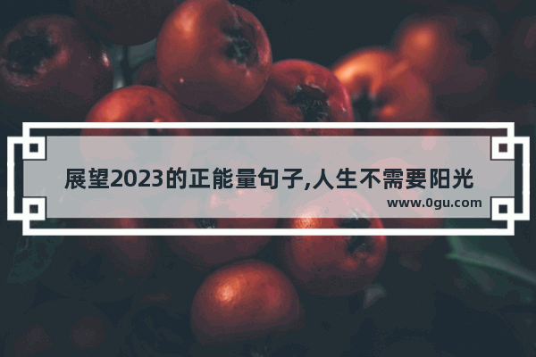 展望2023的正能量句子,人生不需要阳光句子说说