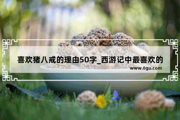 喜欢猪八戒的理由50字_西游记中最喜欢的人物 并说出理由