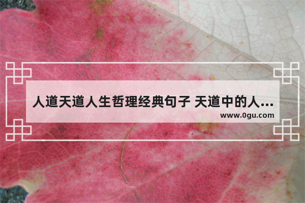 人道天道人生哲理经典句子 天道中的人生哲理句子