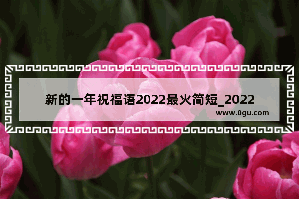 新的一年祝福语2022最火简短_2022接地气祝福语简短暖心