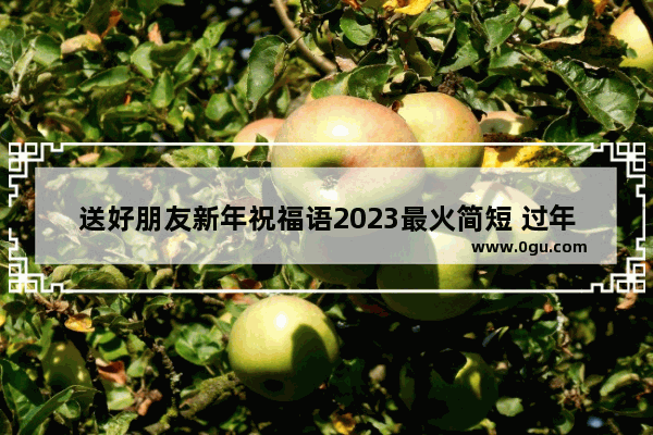 送好朋友新年祝福语2023最火简短 过年给好友的祝福语句子