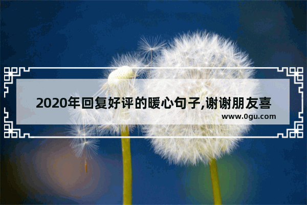 2020年回复好评的暖心句子,谢谢朋友喜欢我的句子说说