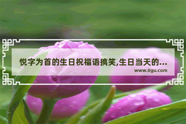 悦字为首的生日祝福语搞笑,生日当天的祝福语搞笑句子