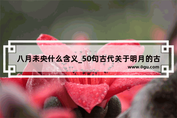 八月未央什么含义_50句古代关于明月的古诗词名句 有哪些