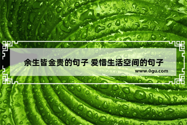 余生皆金贵的句子 爱惜生活空间的句子