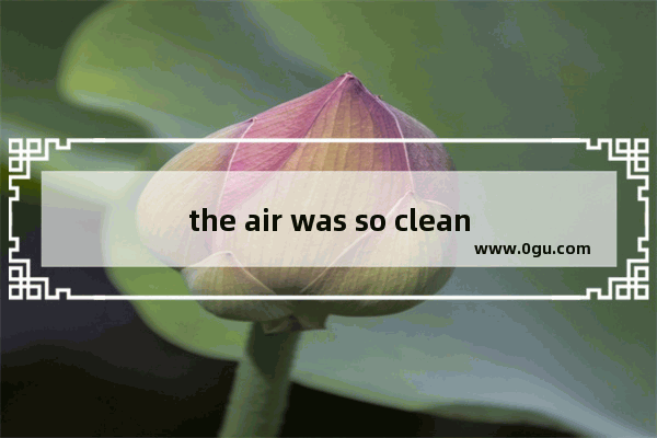 the air was so clean的句子成分_keep my room clean作文六句话