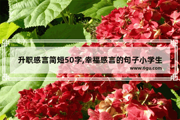 升职感言简短50字,幸福感言的句子小学生作文