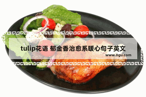 tulip花语 郁金香治愈系暖心句子英文