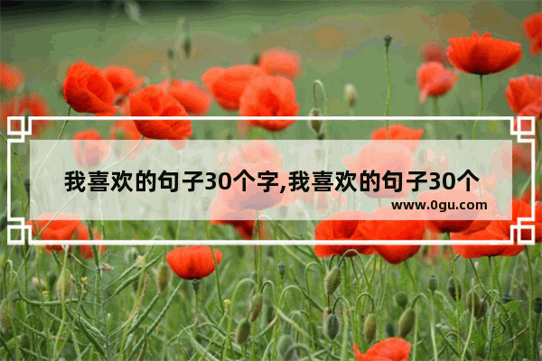 我喜欢的句子30个字,我喜欢的句子30个字