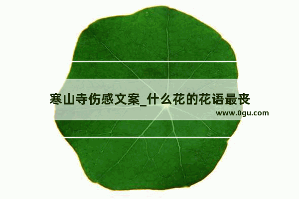 寒山寺伤感文案_什么花的花语最丧