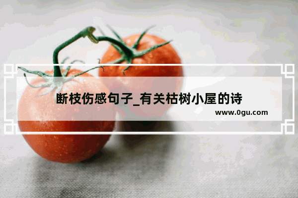 断枝伤感句子_有关枯树小屋的诗