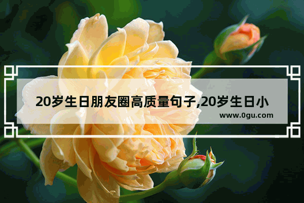 20岁生日朋友圈高质量句子,20岁生日小句子祝福语