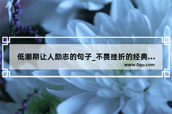 低潮期让人励志的句子_不畏挫折的经典语录