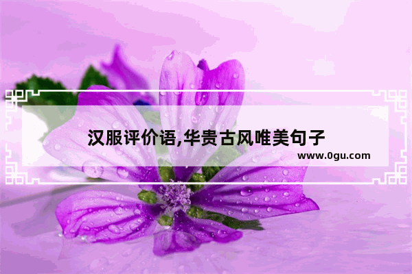 汉服评价语,华贵古风唯美句子