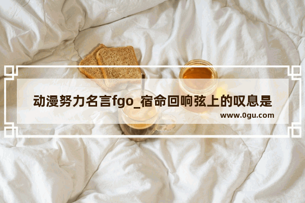 动漫努力名言fgo_宿命回响弦上的叹息是动漫吗