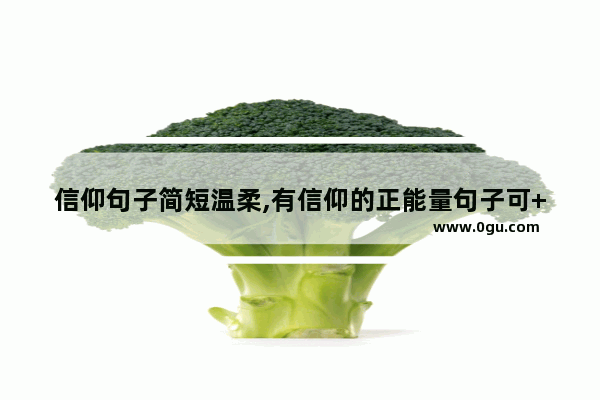 信仰句子简短温柔,有信仰的正能量句子可++