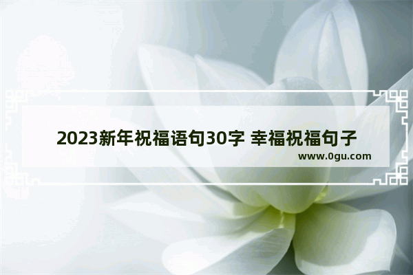 2023新年祝福语句30字 幸福祝福句子