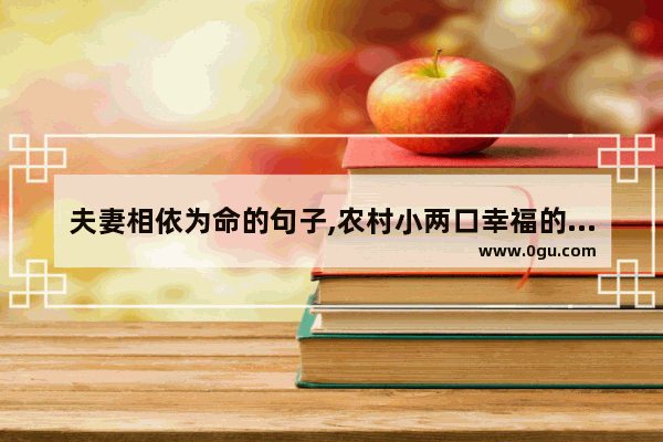 夫妻相依为命的句子,农村小两口幸福的生活句子