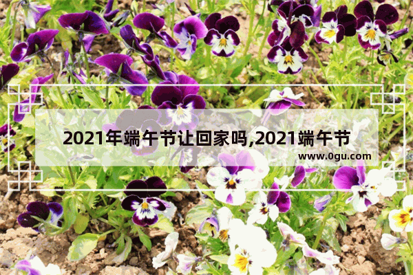 2021年端午节让回家吗,2021端午节祝福语句子