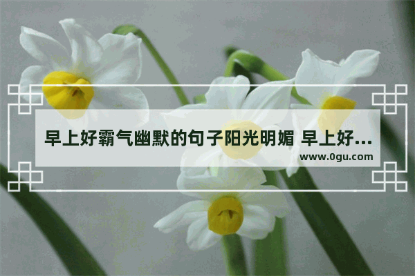 早上好霸气幽默的句子阳光明媚 早上好励志正能量句子搞笑