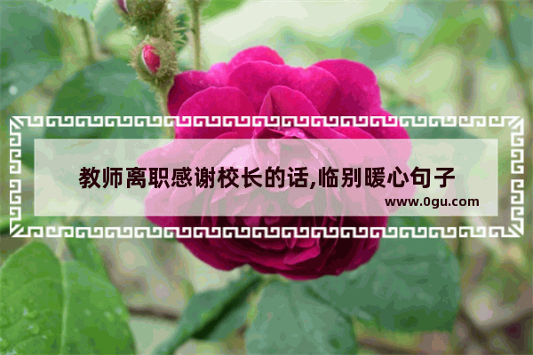 教师离职感谢校长的话,临别暖心句子