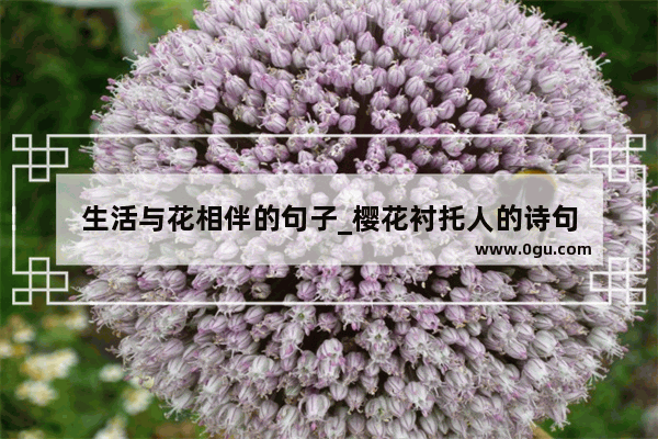 生活与花相伴的句子_樱花衬托人的诗句