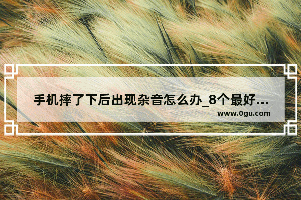 手机摔了下后出现杂音怎么办_8个最好用的手机App有哪些推荐？绝对不套路