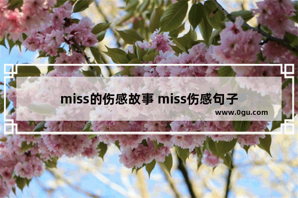 miss的伤感故事 miss伤感句子