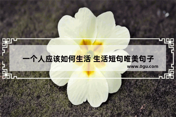 一个人应该如何生活 生活短句唯美句子