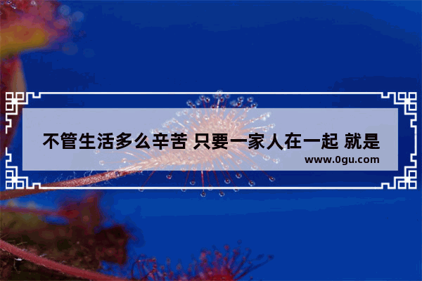 不管生活多么辛苦 只要一家人在一起 就是幸福 你认同吗