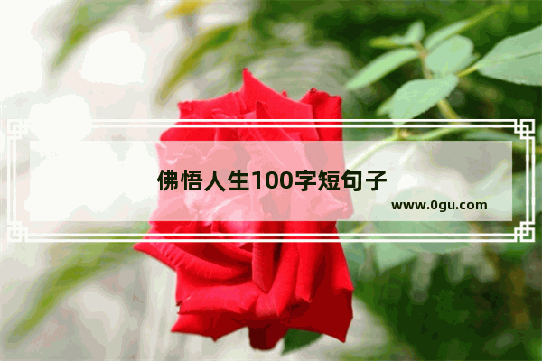 佛悟人生100字短句子