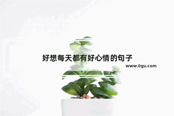 好想每天都有好心情的句子