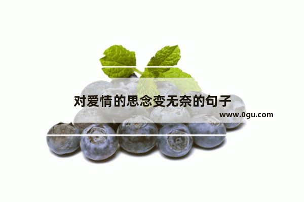 对爱情的思念变无奈的句子