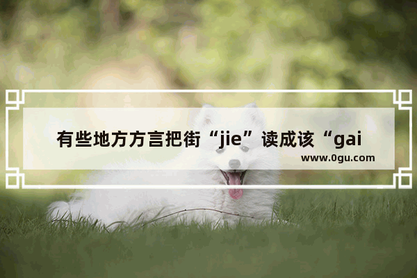 有些地方方言把街“jie”读成该“gai” 这是古代标准读音吗