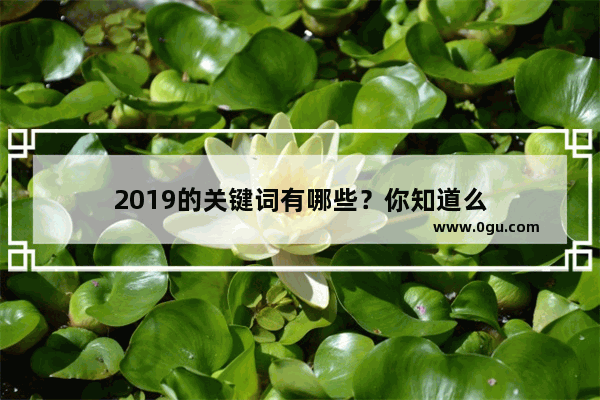 2019的关键词有哪些？你知道么