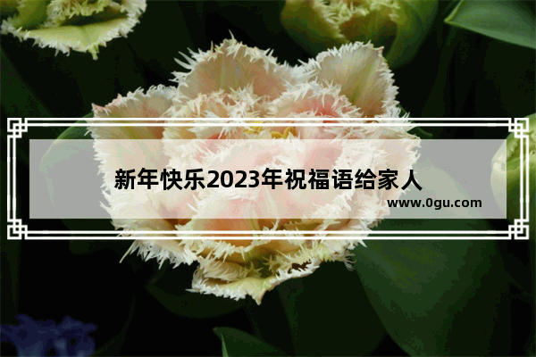 新年快乐2023年祝福语给家人